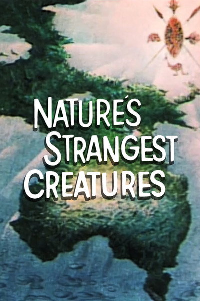 Póster de Nature's Strangest Creatures