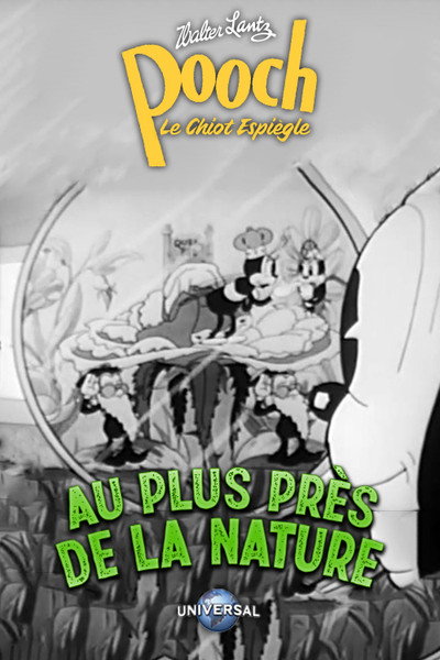 Póster de Nature's Workshop