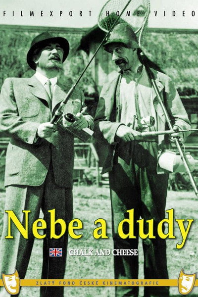 Póster de Nebe a dudy