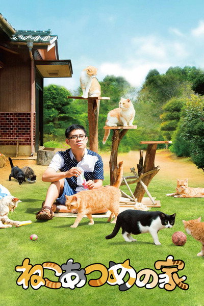 Póster de Neko atsume no ie