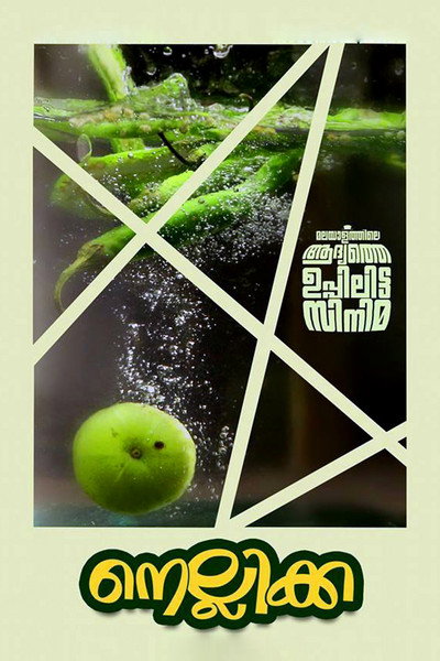 Póster de Nellikka