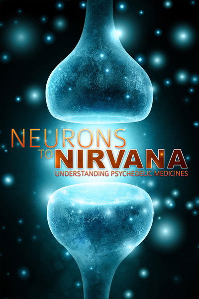 Póster de Neurons to Nirvana