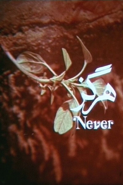 Póster de Never