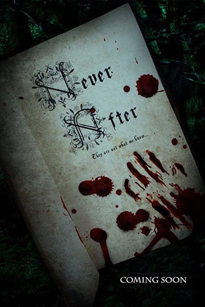 Póster de NEVER AFTER