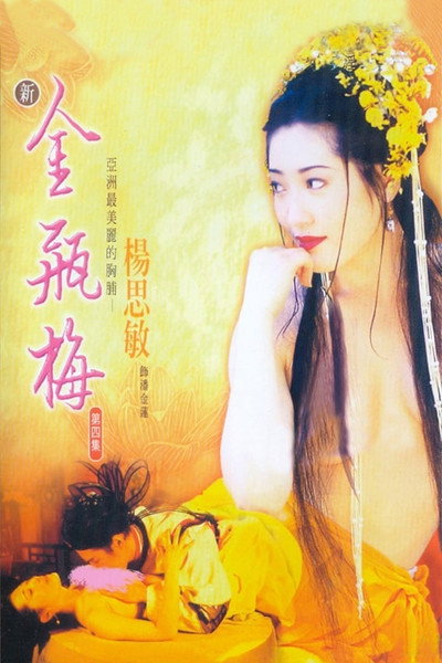 Póster de New Jin Pin Mei IV