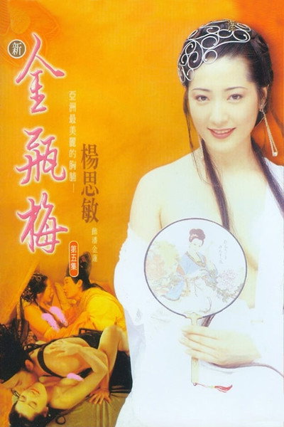 Póster de New Jin Pin Mei V