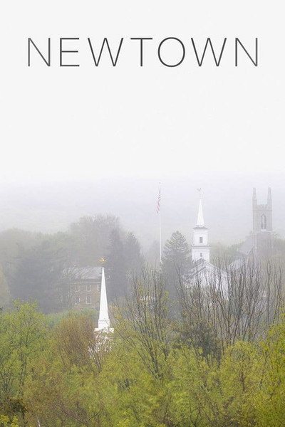Póster de Newtown