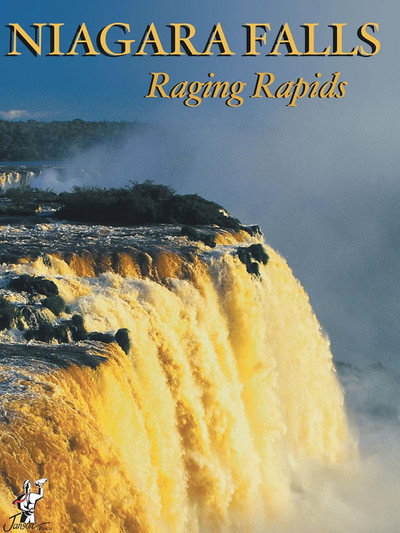 Póster de Niagara Falls Raging Rapids