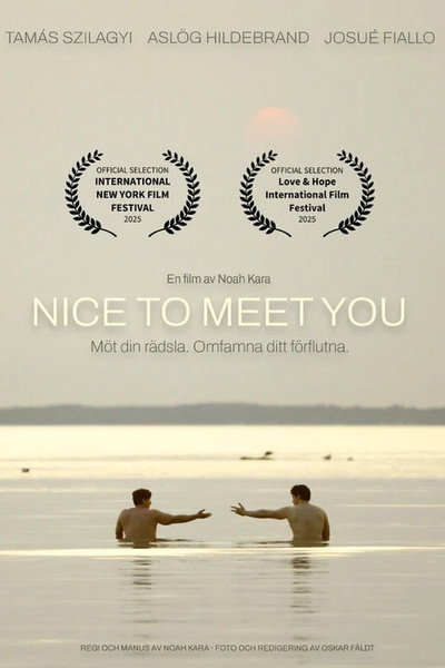Póster de Nice to meet you