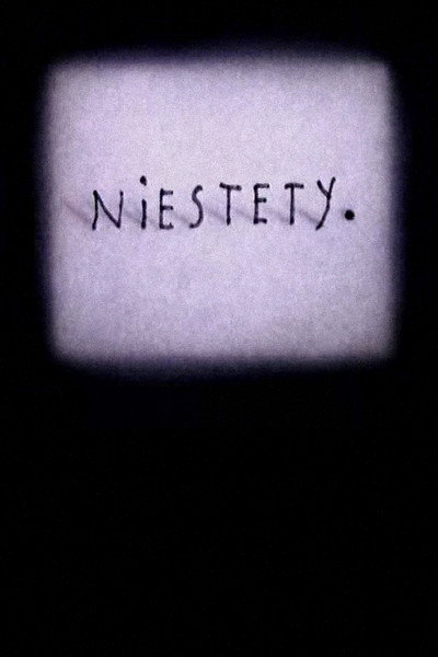 Póster de Niestety