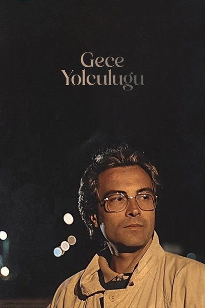 Póster de Night Journey