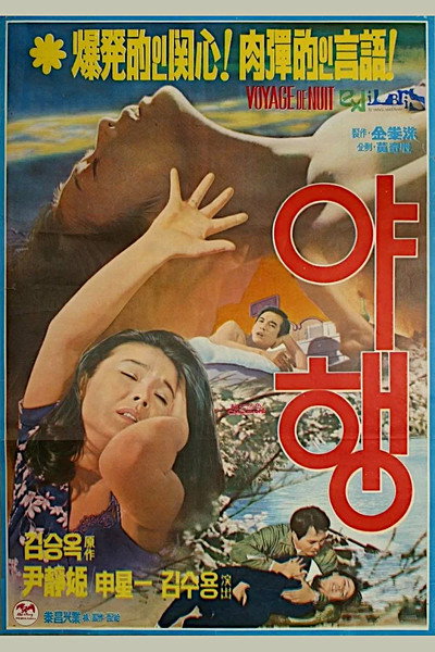 Póster de Night Journey