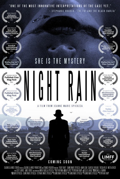 Póster de Night Rain