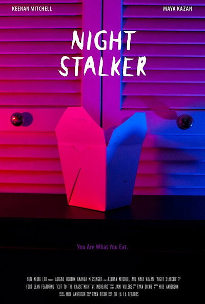 Póster de Night Stalker