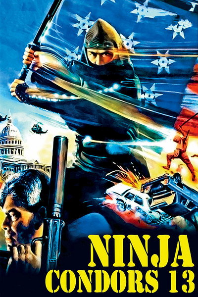 Póster de Ninja Condor 13