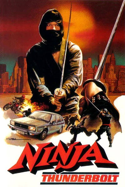 Póster de Ninja Thunderbolt
