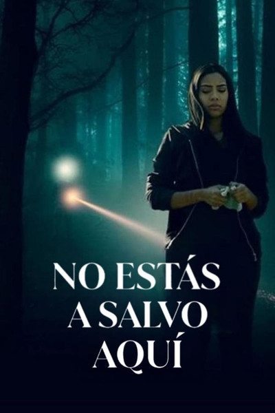 Póster de No estás a salvo aquí