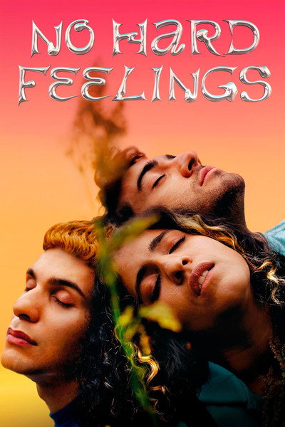 Póster de No hard feelings