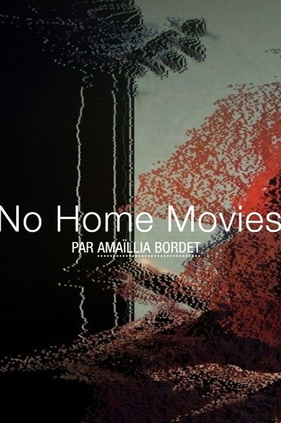 Póster de No Home Movies