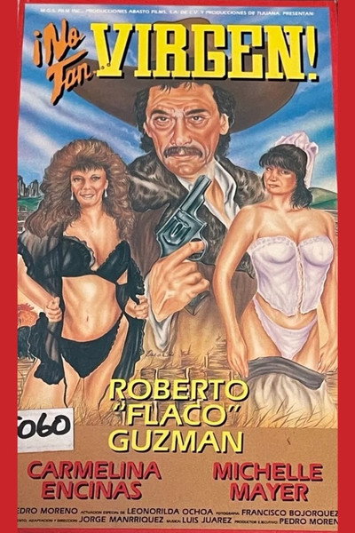 Póster de No tan virgen