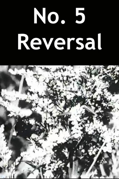 Póster de No.5 Reversal