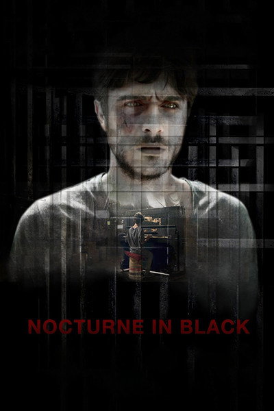 Póster de Nocturne in Black
