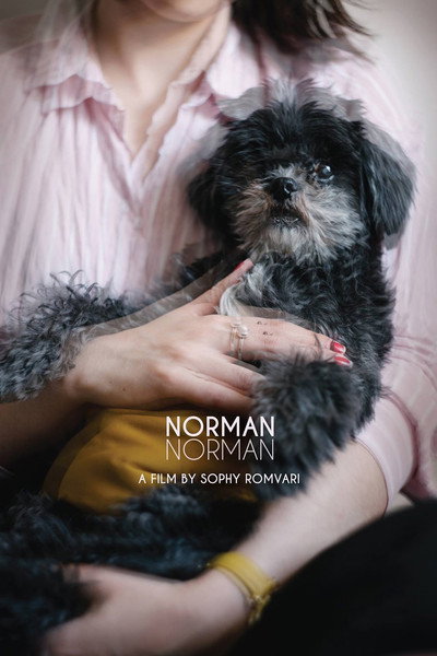 Póster de Norman Norman