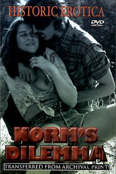 Póster de Norm's Dilemma