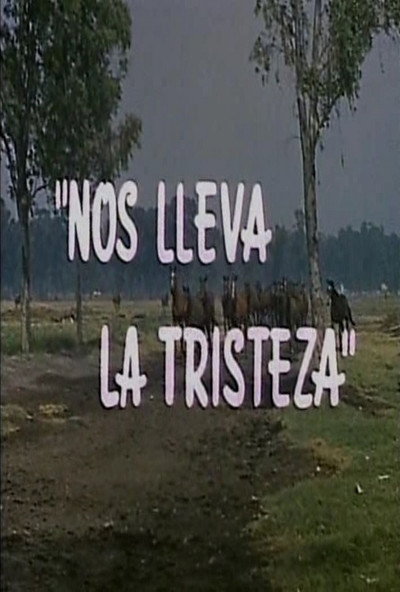 Póster de Nos lleva la tristeza