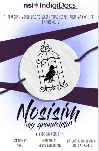 Póster de Nosisim