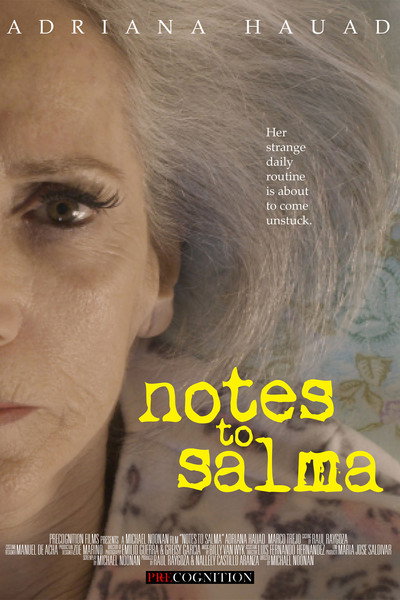 Póster de Notes To Salma