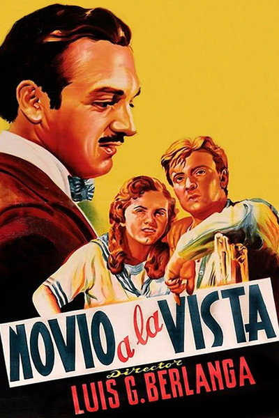 Póster de Novio a la vista