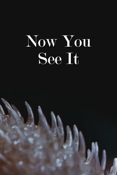 Póster de Now You See It