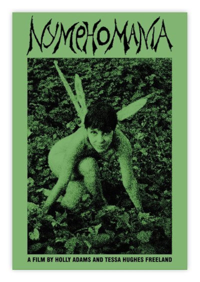 Póster de Nymphomania