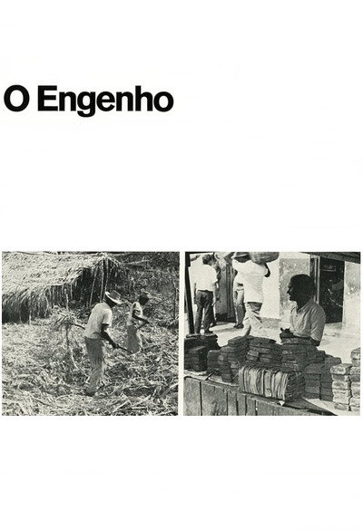 Póster de O Engenho