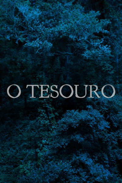 Póster de O Tesouro