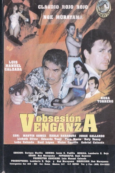 Póster de Obsesión venganza