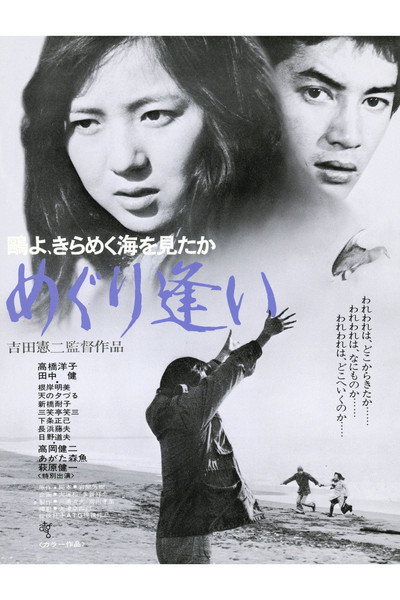 Póster de Oh Seagull, Have You Seen the Sparkling Ocean? An Encounter