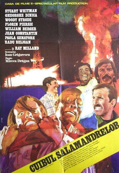 Póster de Oil