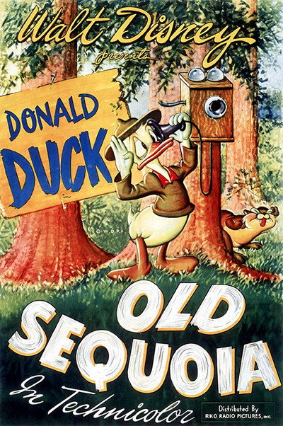 Póster de Old Sequoia