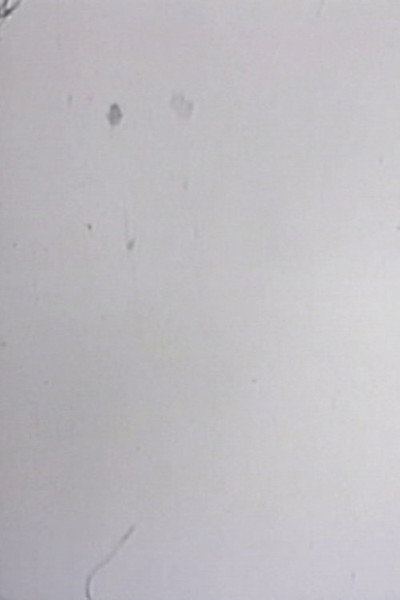 Póster de One Frame Duration