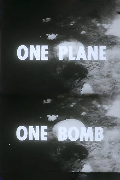 Póster de One Plane, One Bomb