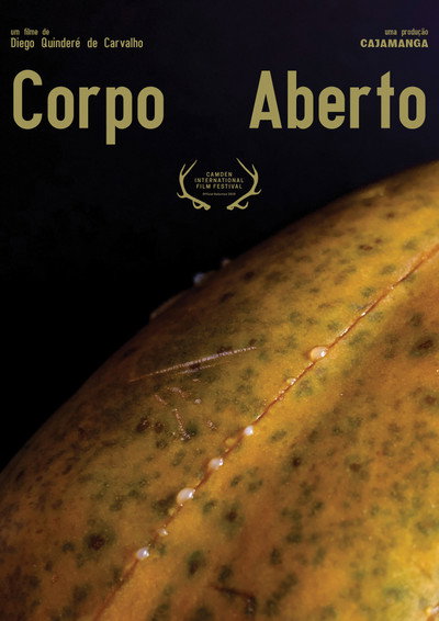 Póster de Open Body