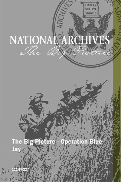 Póster de Operation Blue Jay