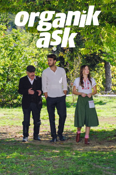 Póster de Organik Ask