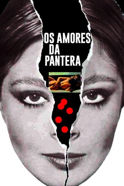 Póster de Os Amores da Pantera