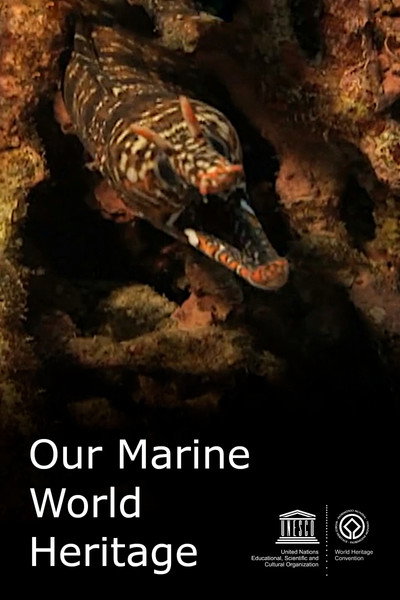 Póster de Our Marine World Heritage