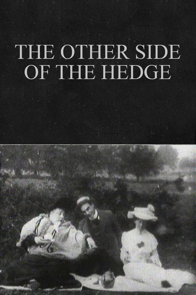 Póster de Over the Hedge