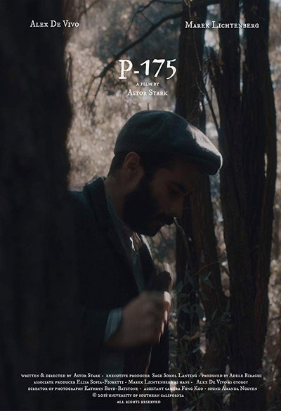 Póster de P-175