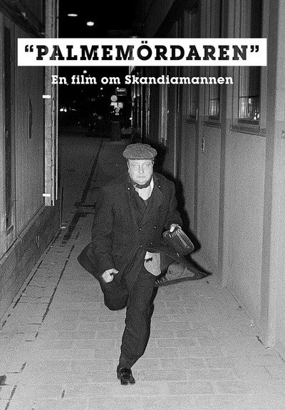 Póster de Palmemördaren